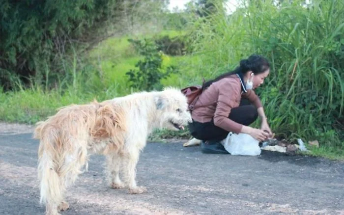 Собака 4 года оставалась на том месте, где ее потеряли, и владельцы вернулись за ней - фото 453871