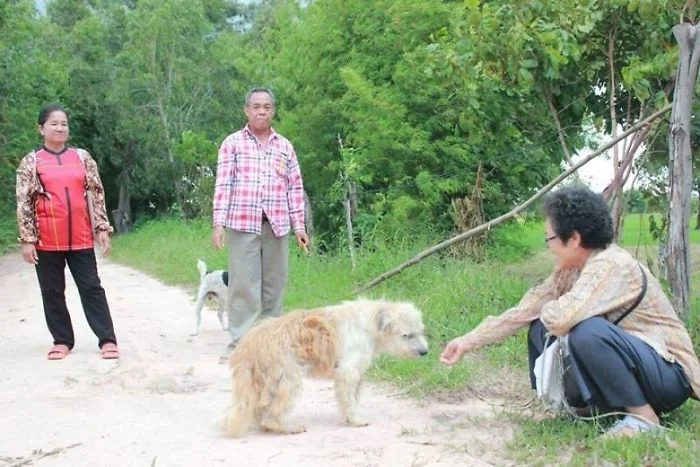 Собака 4 роки залишався на тому місці, де його загубили, і власники повернулись за ним - фото 453872