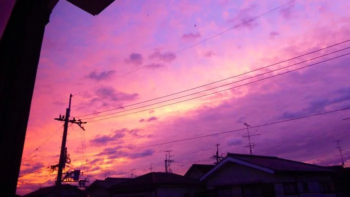 Небо над Японією стало насичено фіолетового кольору, і ви такого дива ще не бачили - фото 454149