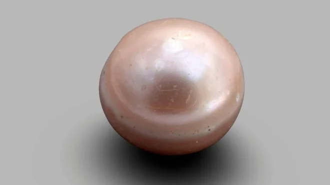 Поблизу Абу-Дабі знайшли найдавнішу перлину у світі, якій 8 тисяч років, і вона - шедевр - фото 454792