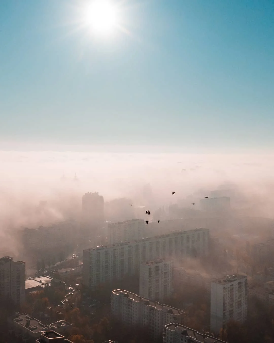 Київ поринув у густий туман через смог, і ці фото, наче з фільму жахів - фото 455311