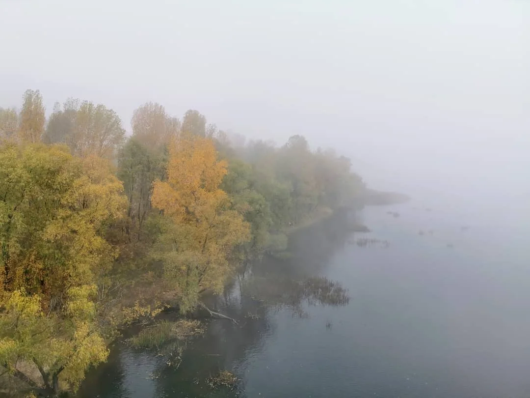 Київ поринув у густий туман через смог, і ці фото, наче з фільму жахів - фото 455316