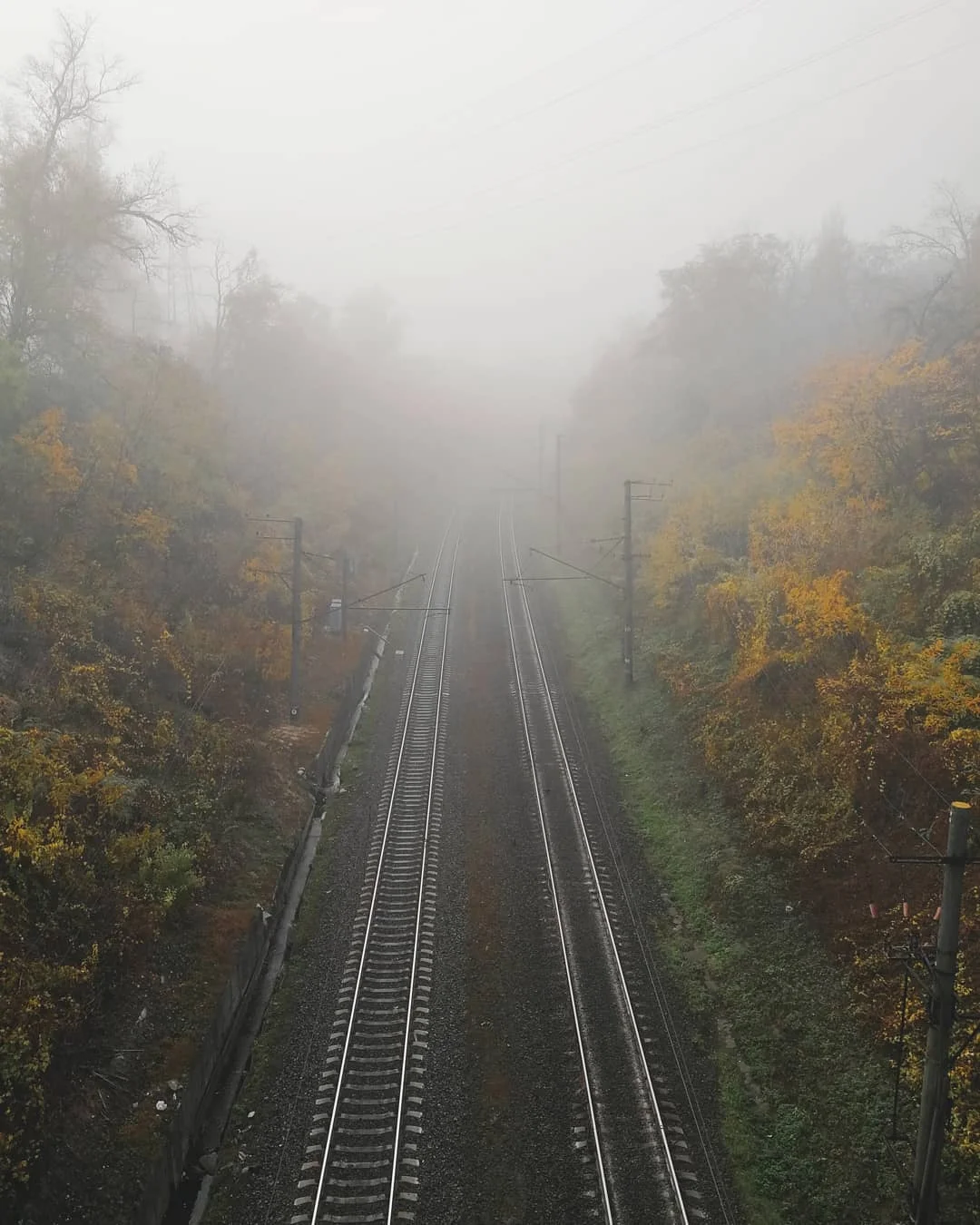 Київ поринув у густий туман через смог, і ці фото, наче з фільму жахів - фото 455319
