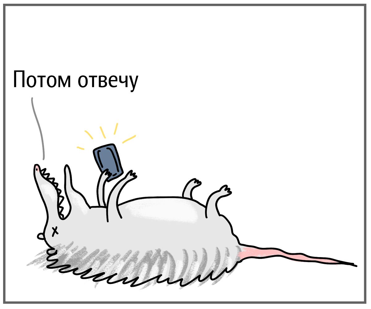 Эти забавные комиксы с животными расскажут, как преодолеть осеннюю хандру - 455487 Эти забавные комиксы с животными расскажут, как преодолеть осеннюю хандру - фото 455487