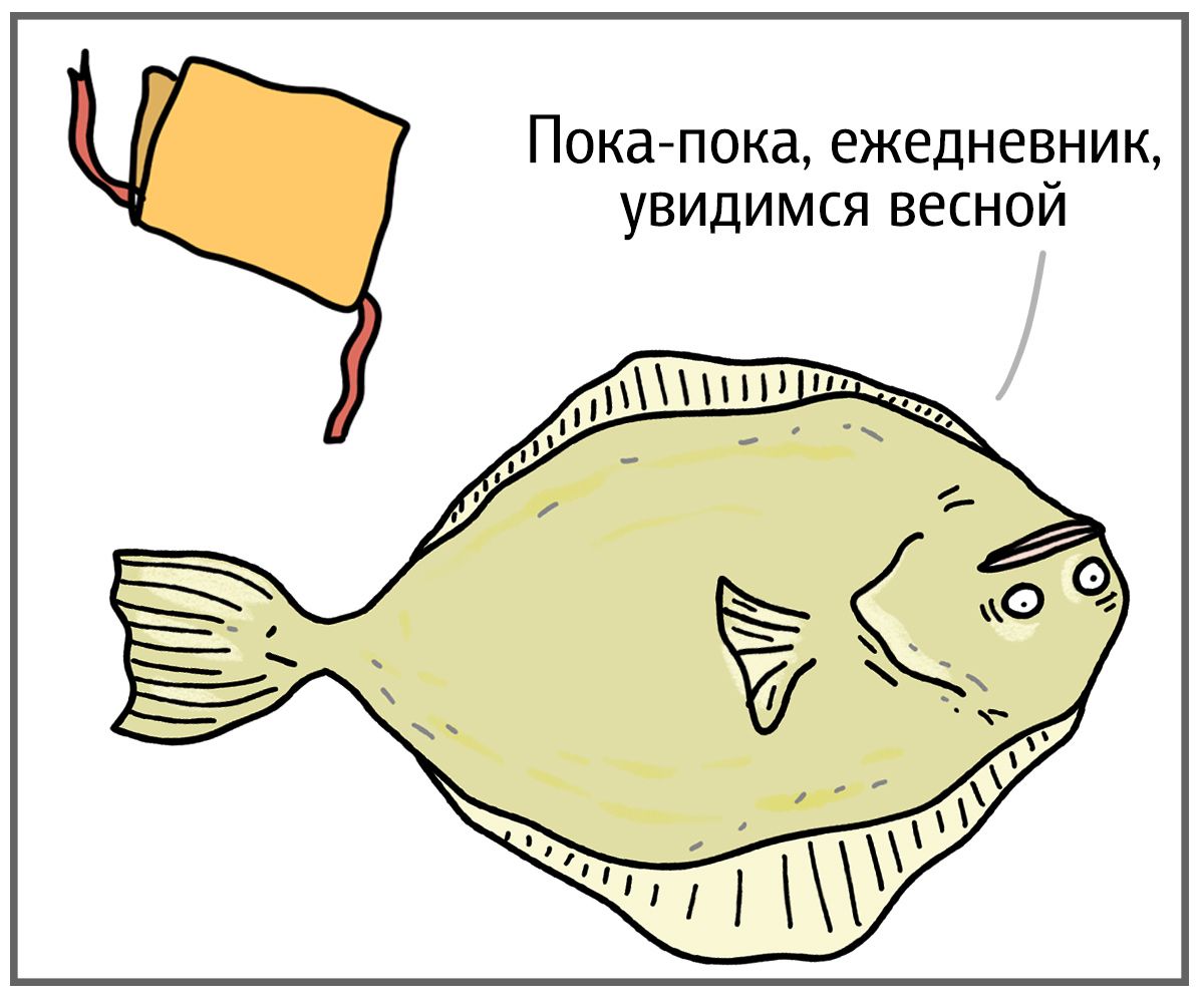 Эти забавные комиксы с животными расскажут, как преодолеть осеннюю хандру - 455490 Эти забавные комиксы с животными расскажут, как преодолеть осеннюю хандру - фото 455490