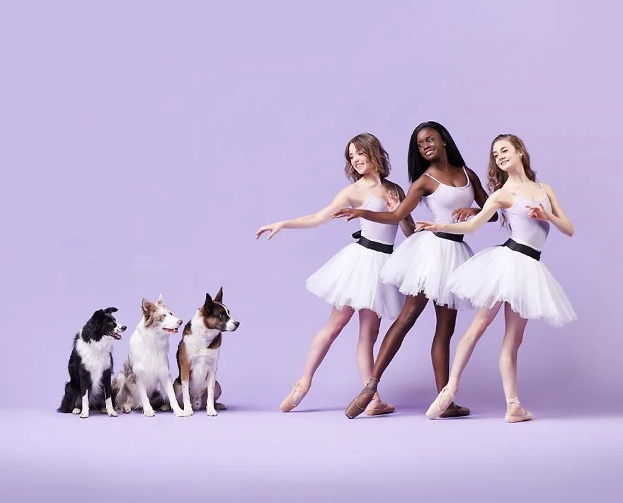 Танцоры снялись с собаками, и четвероногие доказали, что умеют двигаться не хуже - фото 456635