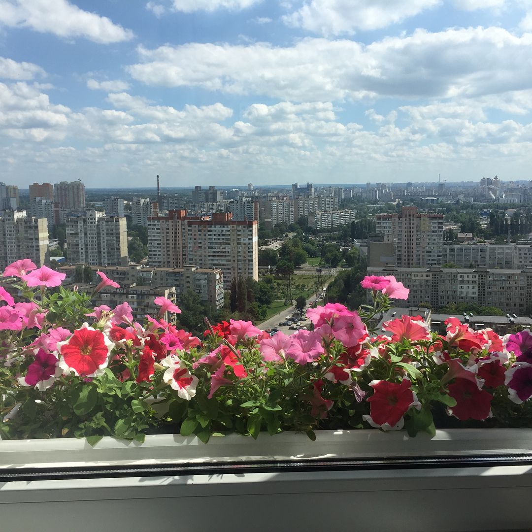 По-богатому: современная квартира и уютная дача Лилии Ребрик - фото 457529