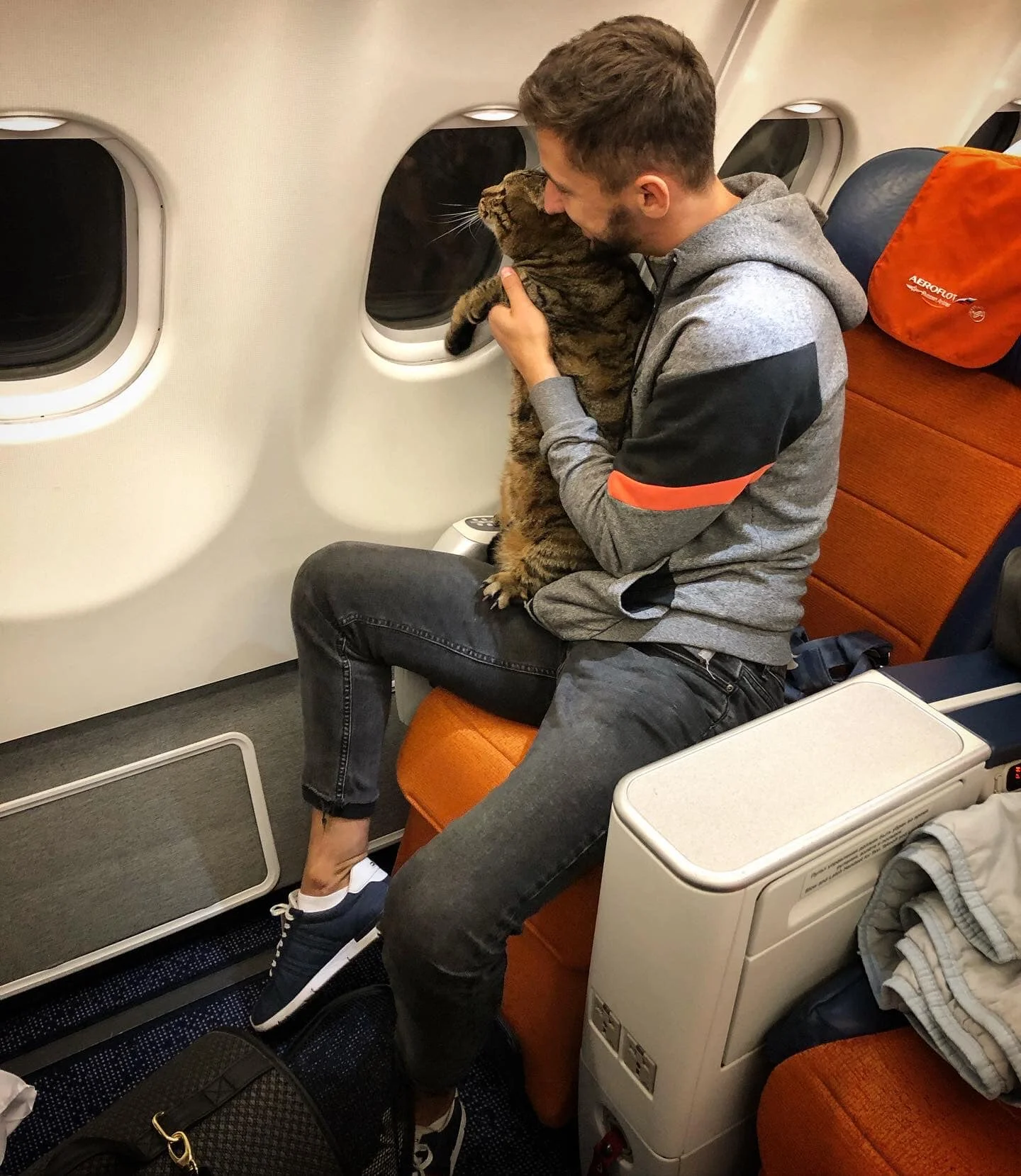 Хлопець пішов на злочин, щоб сидіти в літаку поруч з котиком, і про це гуде весь інтернет - фото 457970