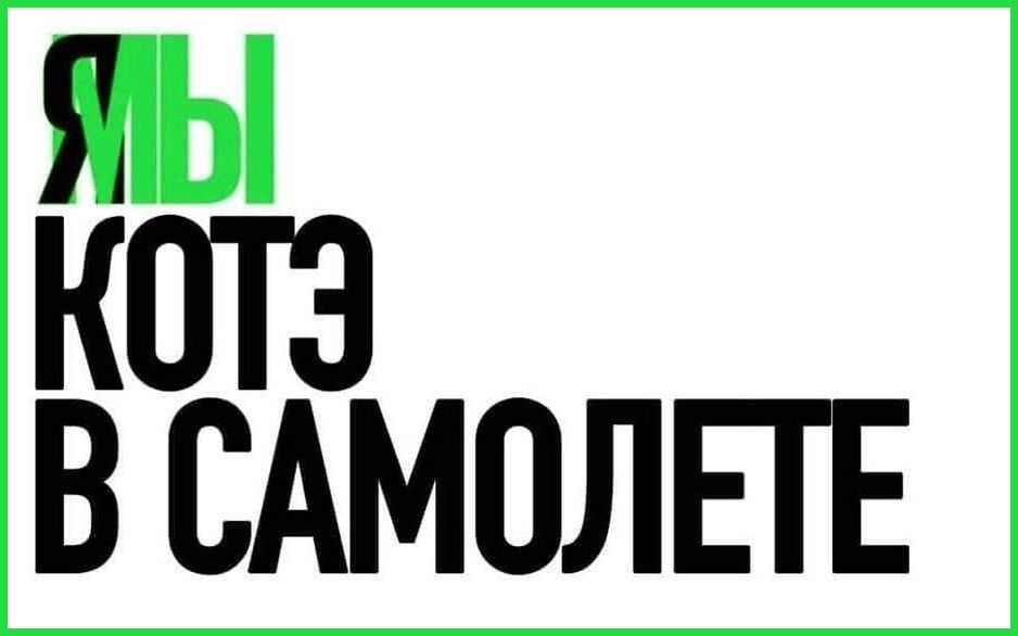 Хлопець пішов на злочин, щоб сидіти в літаку поруч з котиком, і про це гуде весь інтернет - 457982 Хлопець пішов на злочин, щоб сидіти в літаку поруч із котиком, і про це гуде весь інтернет - фото 457982