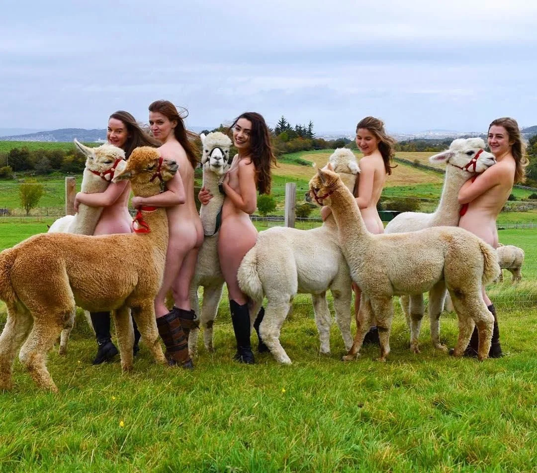 Краса природи в чистому вигляді: шотландські студенти роздягнулись на підтримку тварин - фото 458175