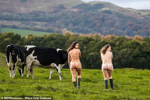 Краса природи в чистому вигляді: шотландські студенти роздягнулись на підтримку тварин - фото 458182