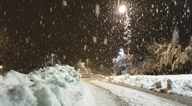 Францию накрыл мощный снегопад и за ночь страна превратилась в зимнюю сказку - фото 458210