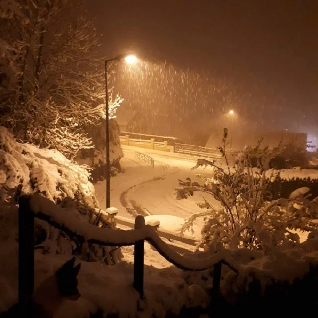 Францию накрыл мощный снегопад и за ночь страна превратилась в зимнюю сказку - фото 458214