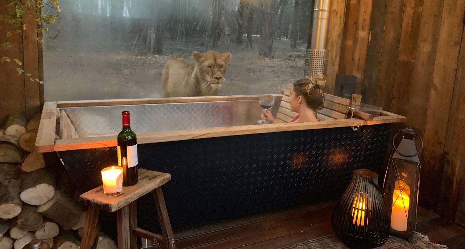 Уникальные ощущения: открыли отель, в котором твоими соседями будут львы и другие звери - фото 459096