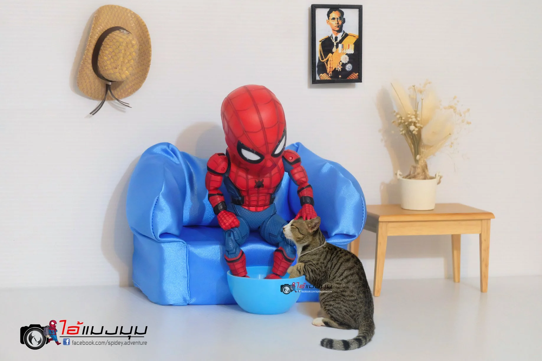 Художник добавил к фото с котиками изображение Человека-паука – это выглядит очень смешно - фото 459354