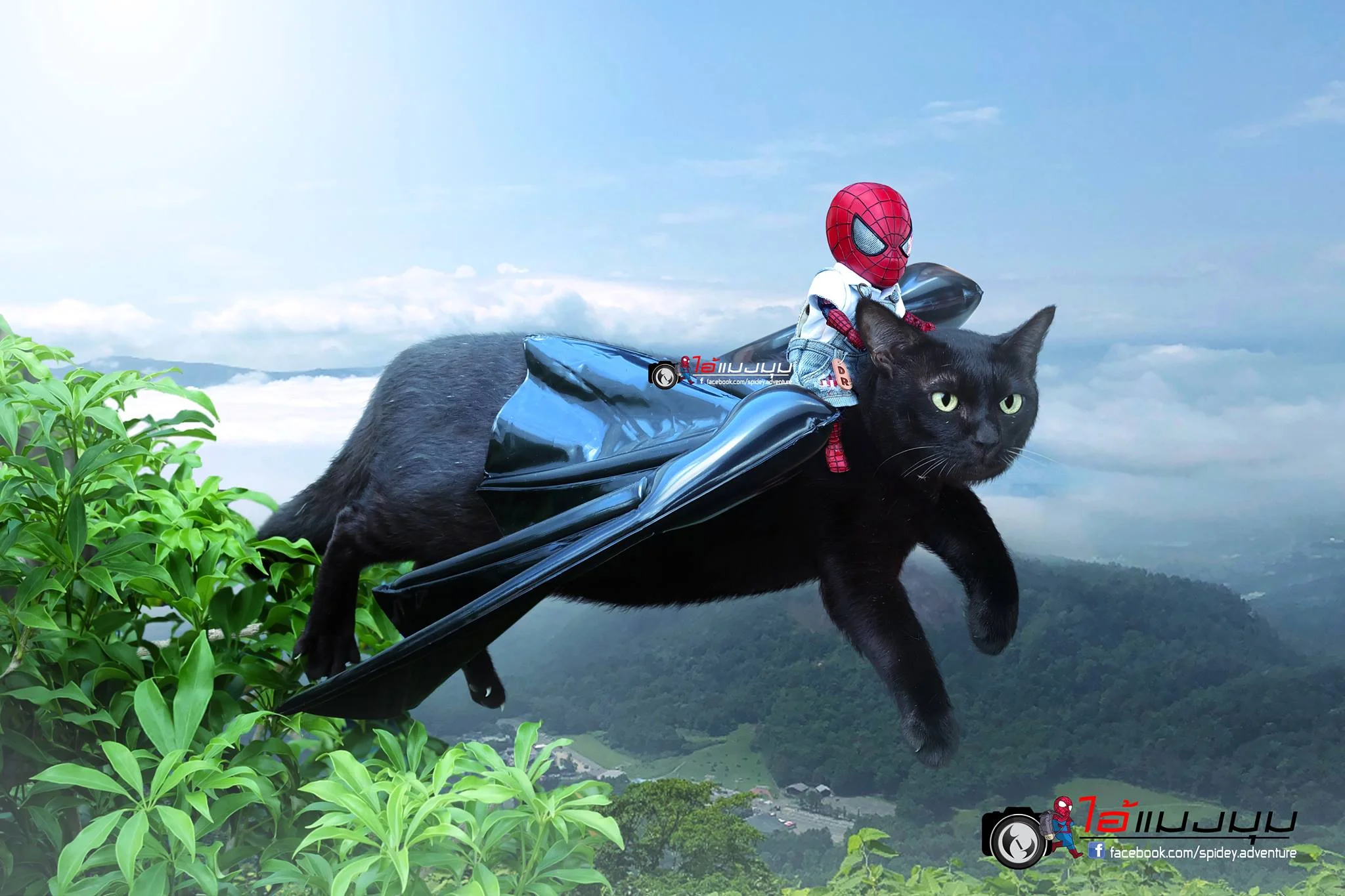 Художник додав до фото з котиками зображення Людини-павука – це виглядає дуже смішно - фото 459356