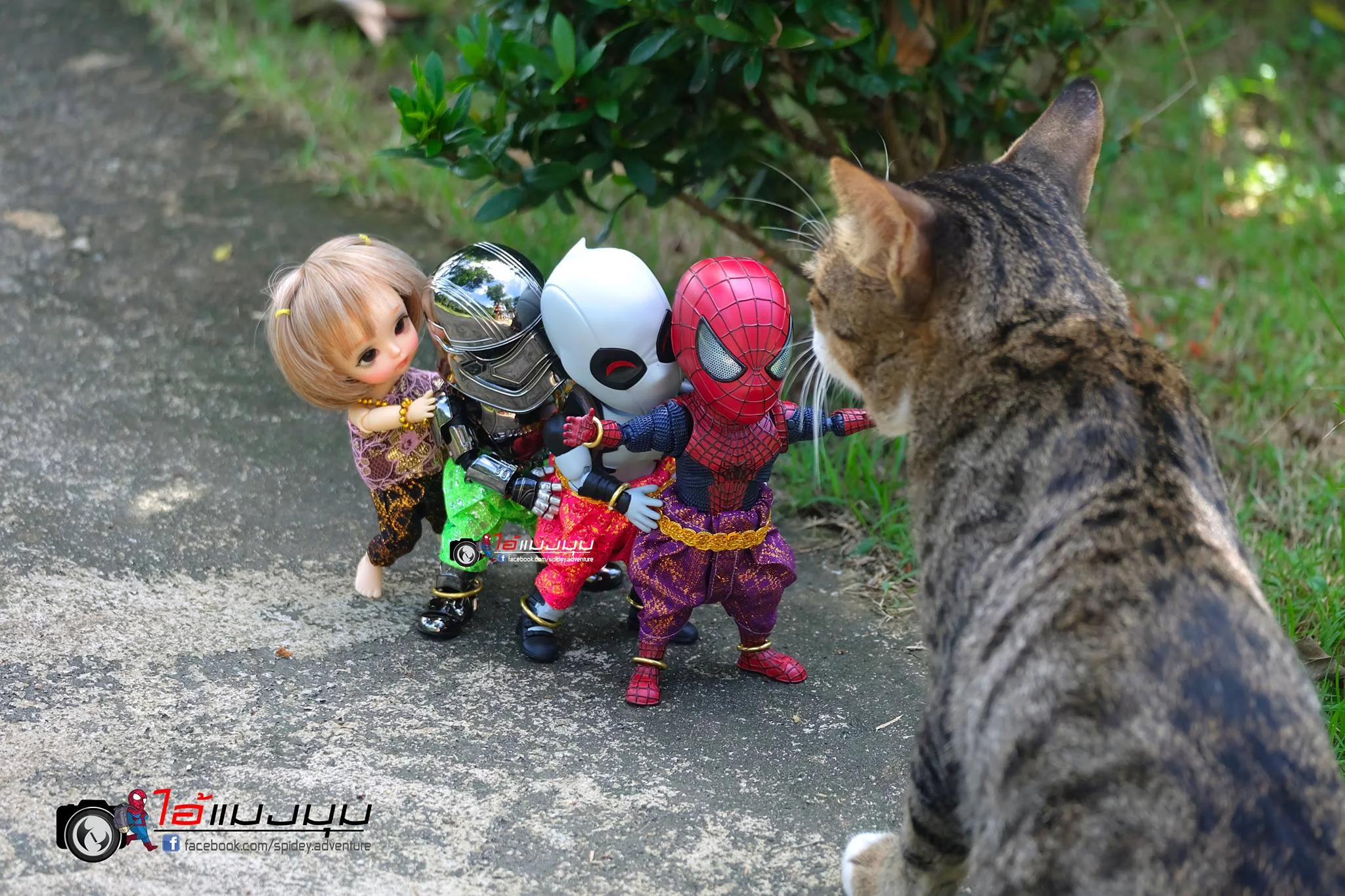 Художник добавил к фото с котиками изображение Человека-паука – это выглядит очень смешно - фото 459366