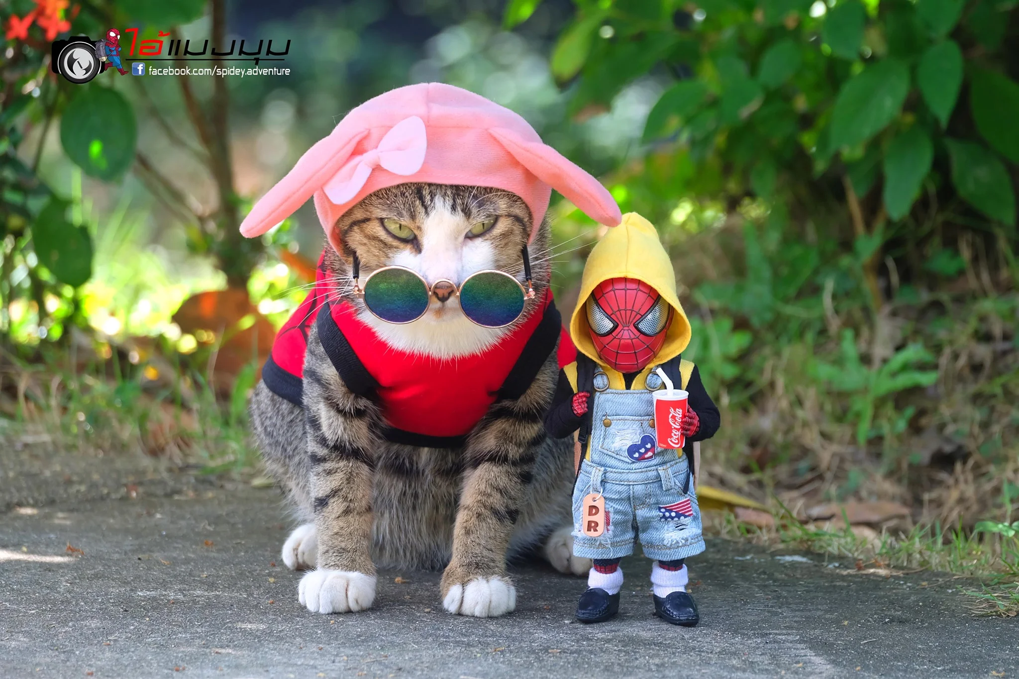 Художник добавил к фото с котиками изображение Человека-паука – это выглядит очень смешно - фото 459370