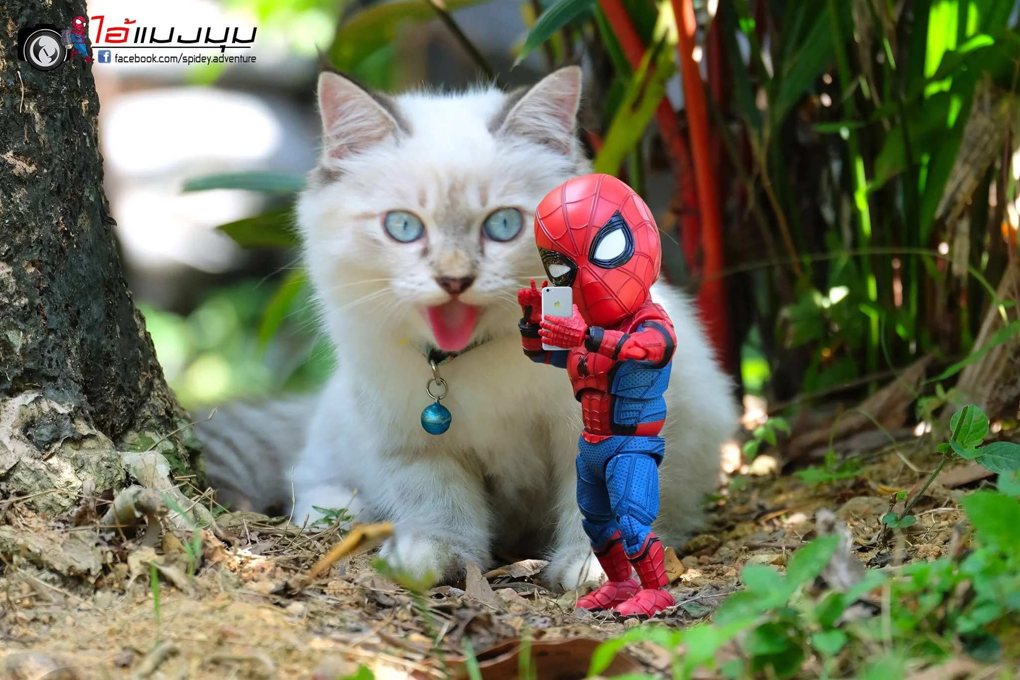 Художник добавил к фото с котиками изображение Человека-паука – это выглядит очень смешно - фото 459374