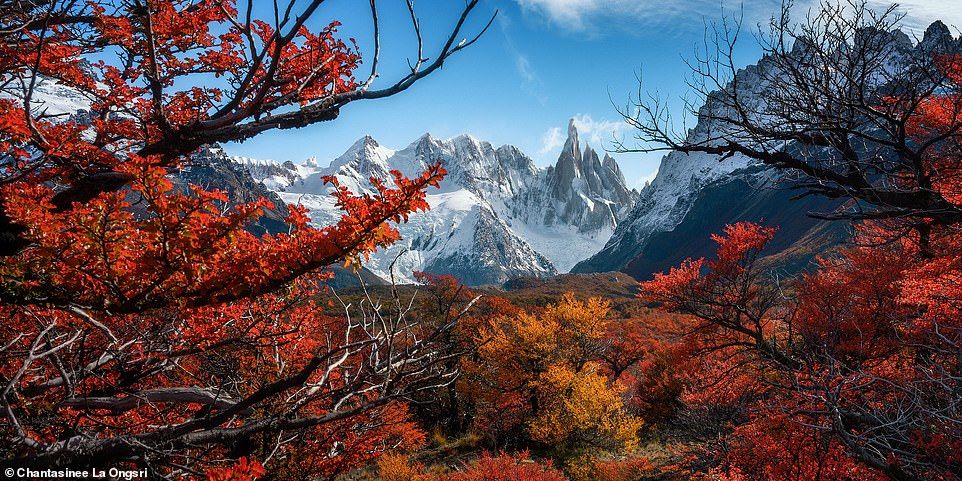 Не кадры, а настоящее искусство: лучшие панорамные фото 2019 - фото 459565