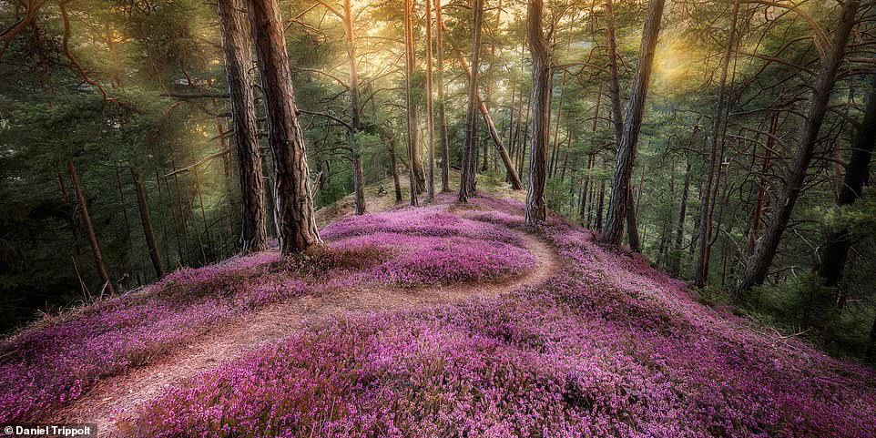 Не кадры, а настоящее искусство: лучшие панорамные фото 2019 - фото 459580