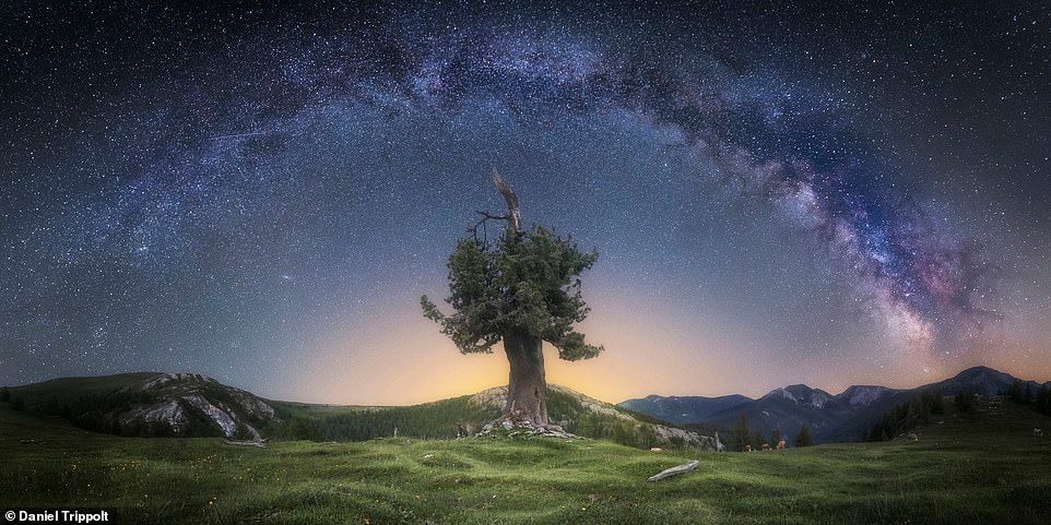Не кадры, а настоящее искусство: лучшие панорамные фото 2019 - фото 459581