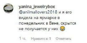 Владимира Остапчука застукали на свидании с участницей 'Танцы со звездами' - фото 460084