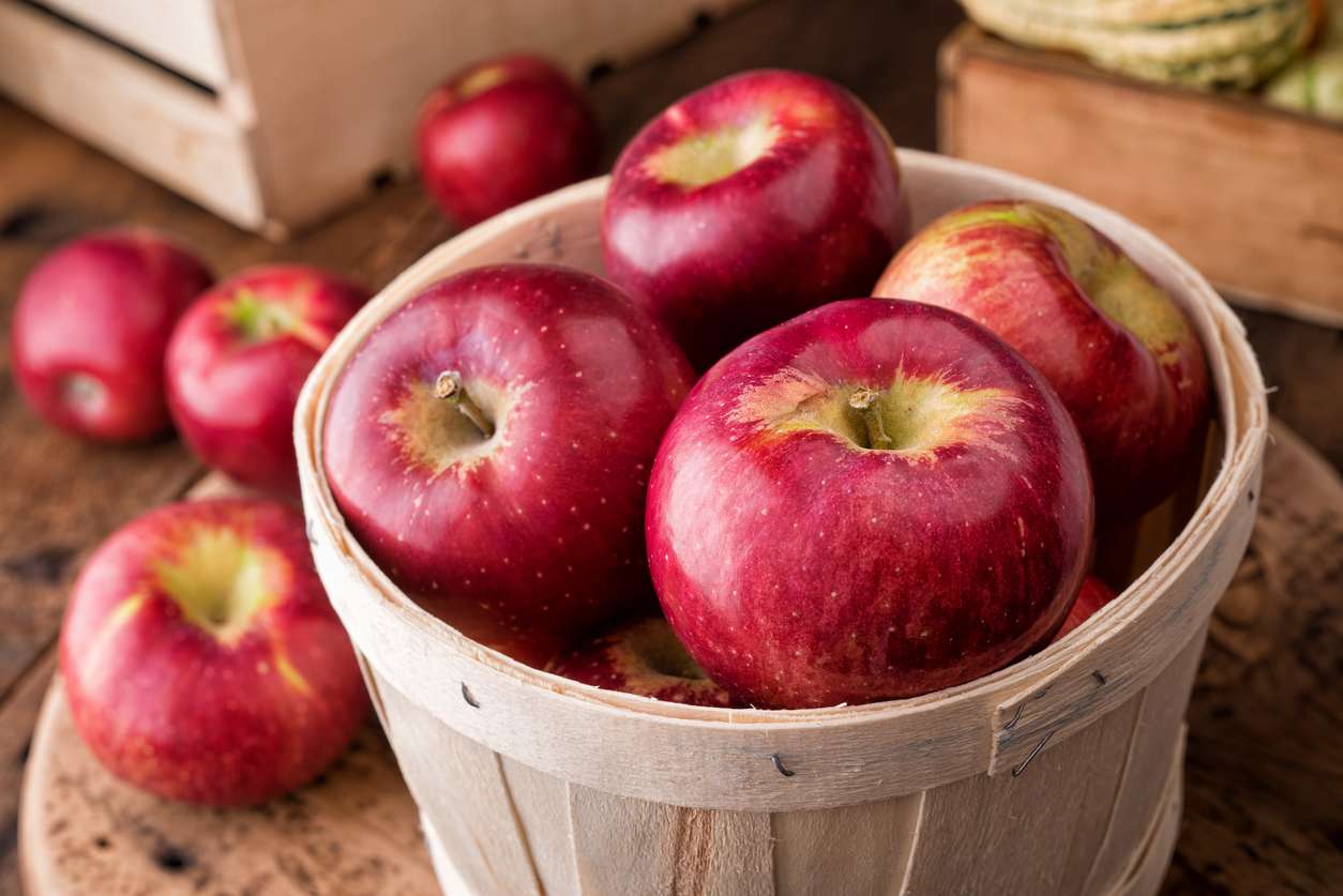 Американці створили яблука, які можуть не псуватися цілий рік - фото 460173