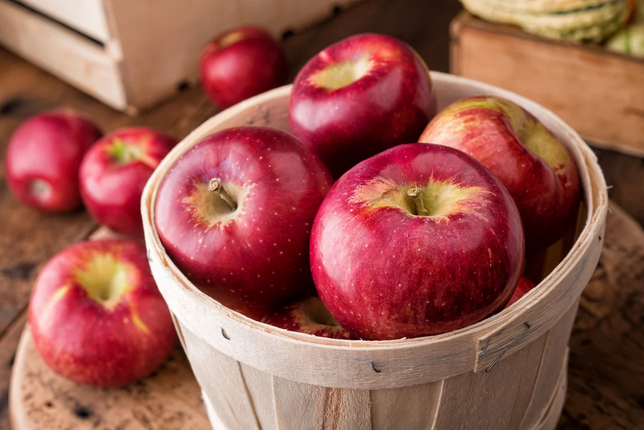 Американцы создали яблоки, которые могут не портиться целый год - фото 460174