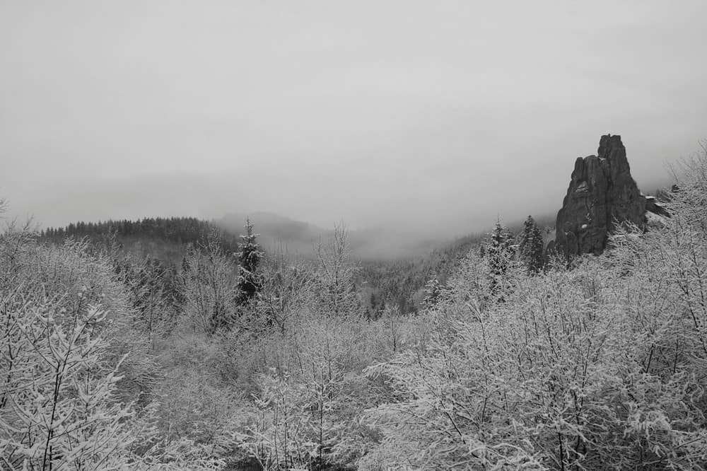 Карпати засипало пухнастим снігом і приголомшливі фото гір створюють святкову атмосферу - фото 460206