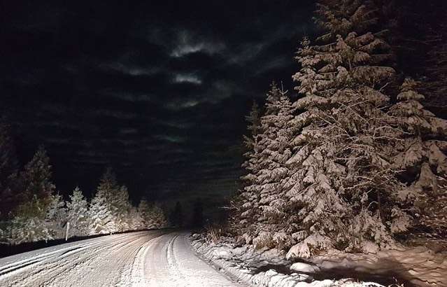 Карпаты засыпало пушистым снегом, и потрясающие фото гор создают праздничную атмосферу - фото 460210