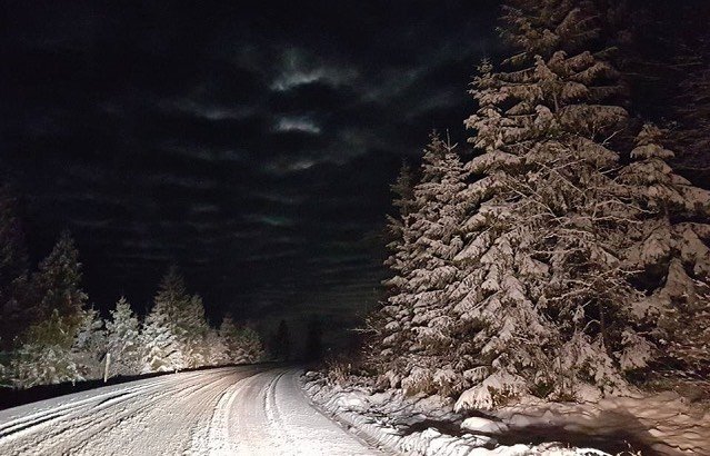 Карпати засипало пухнастим снігом і приголомшливі фото гір створюють святкову атмосферу - фото 460210