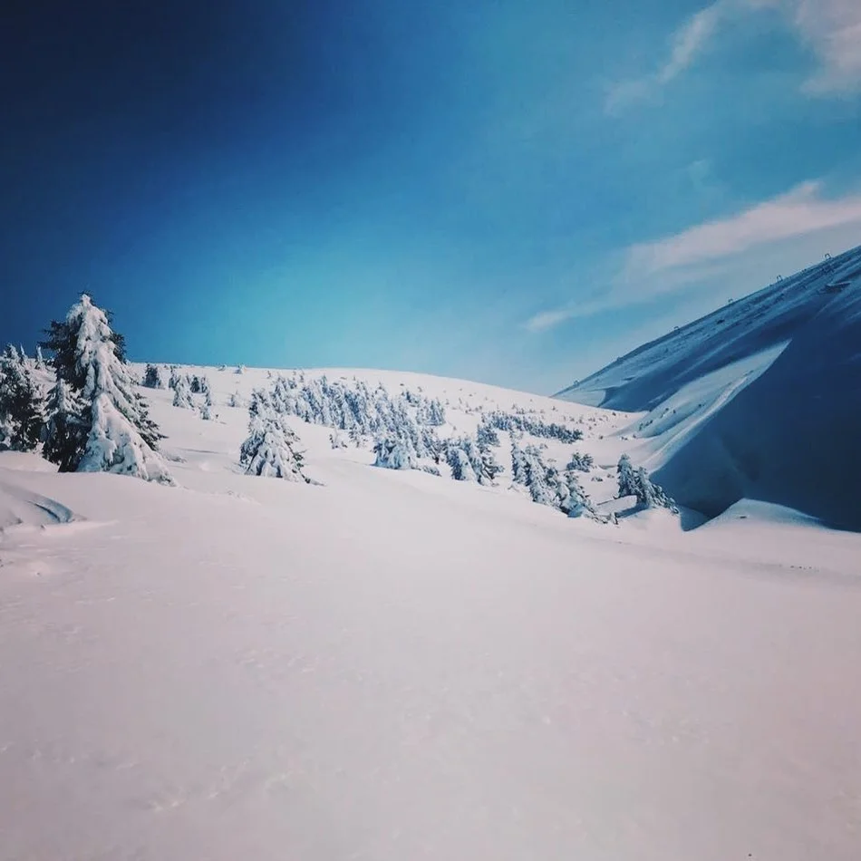 Карпаты засыпало пушистым снегом, и потрясающие фото гор создают праздничную атмосферу - фото 460211