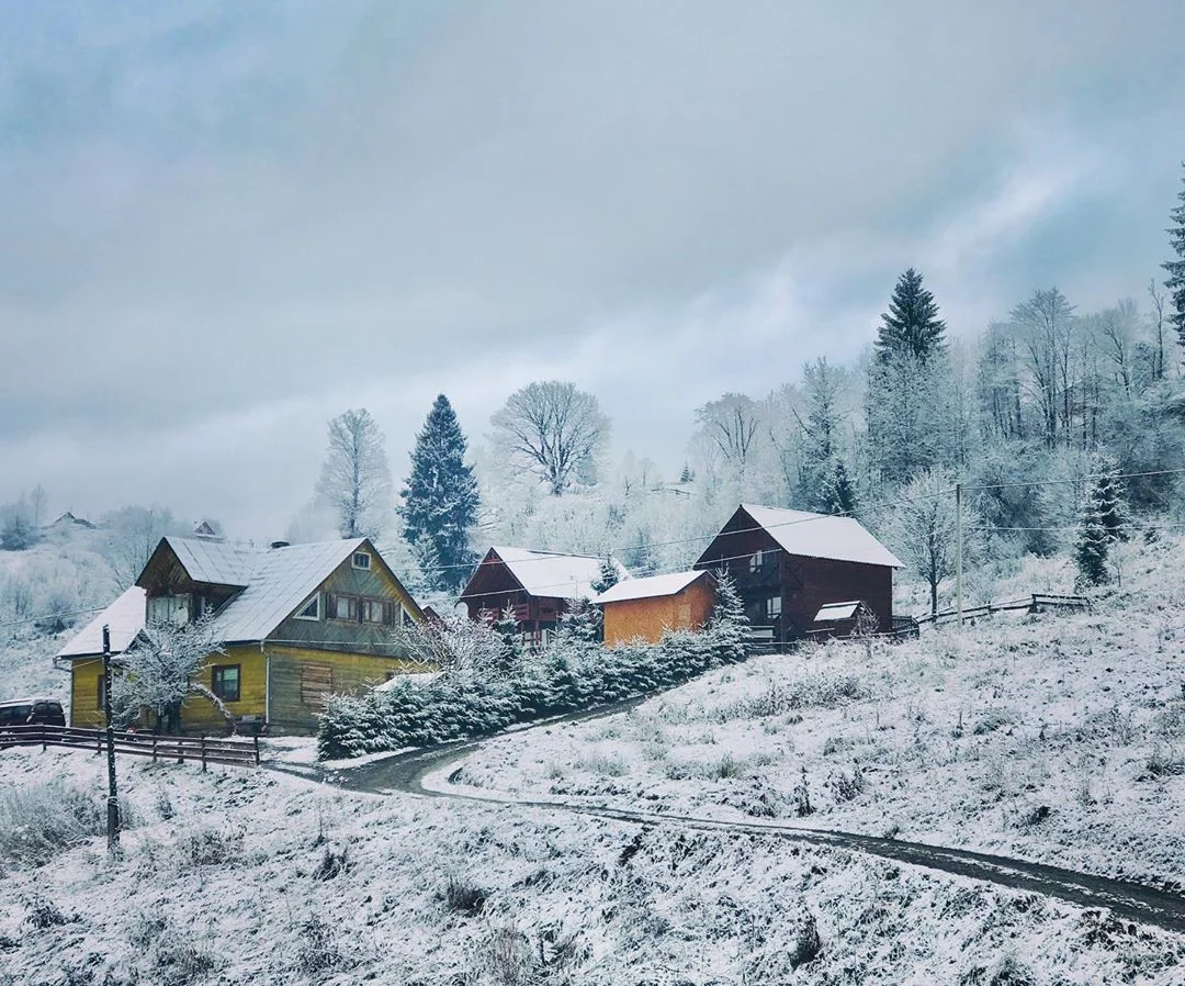 Карпаты засыпало пушистым снегом, и потрясающие фото гор создают праздничную атмосферу - фото 460212