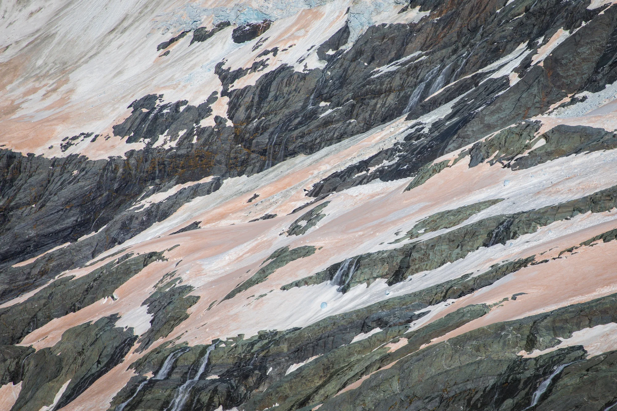 Фото дня: ледники в Новой Зеландии покраснели - фото 460668