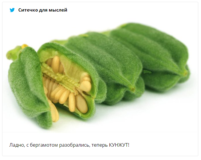 Люди узнали, как на самом деле выглядят плоды дерева кешью и теперь не могут это развидеть - 460745 Люди узнали, как на самом деле выглядят плоды дерева кешью и теперь не могут это развидеть - фото 460745