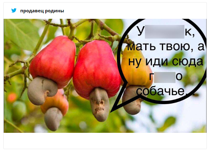 Люди узнали, как на самом деле выглядят плоды дерева кешью и теперь не могут это развидеть - 460757 Люди узнали, как на самом деле выглядят плоды дерева кешью и теперь не могут это развидеть - фото 460757