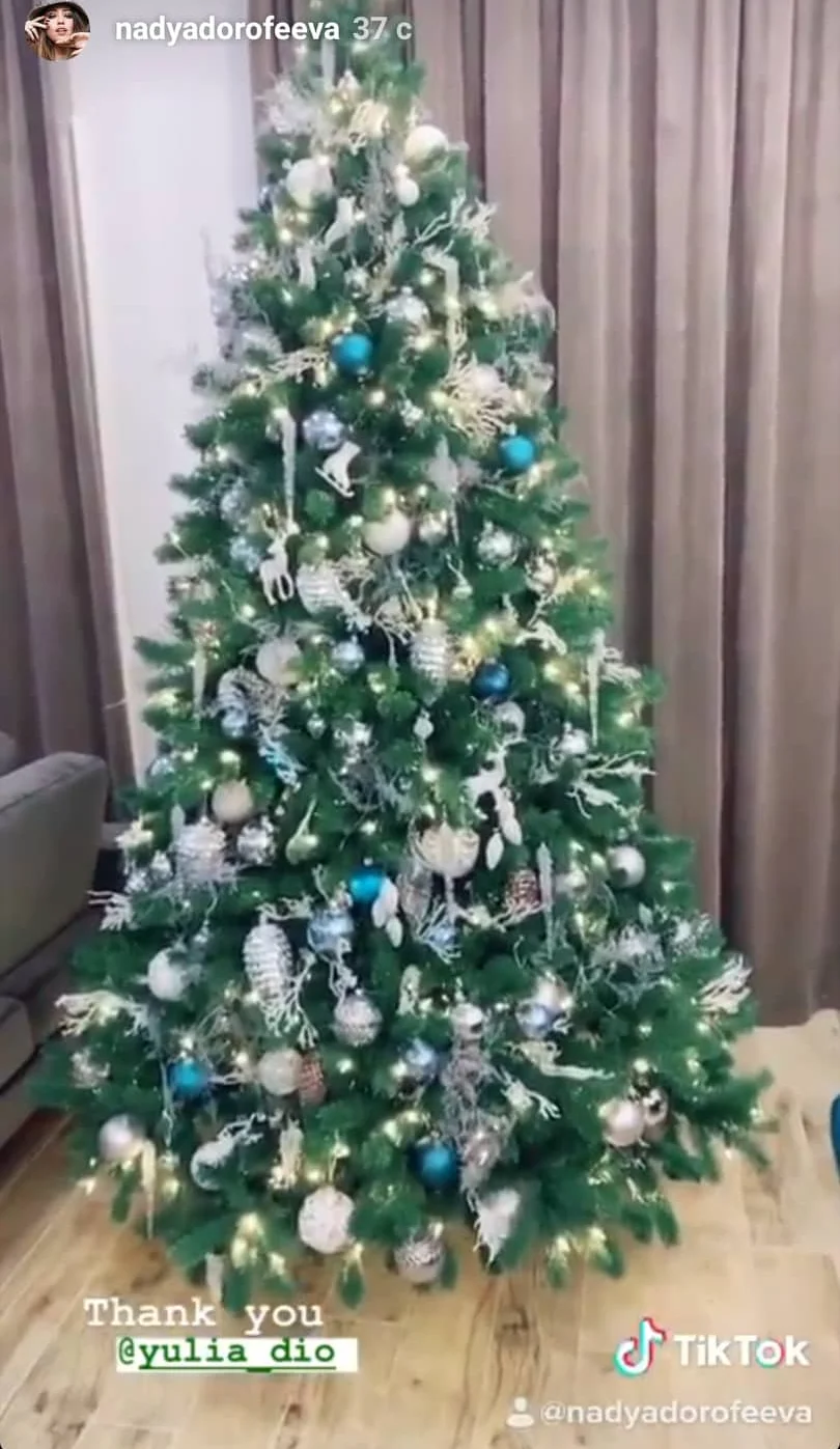 Осадчая, Дорофеева, Шоптенко показали, как оригинально украсили свои новогодние елки - фото 461748