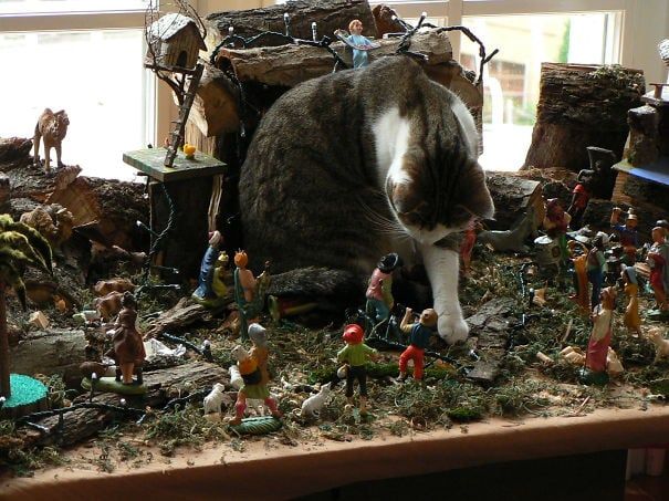 Котики-хулиганы занимаются любимым новогодним делом - свержением елок - 461858 Котики-хулиганы занимаются любимым новогодним делом - свержением елок - фото 461858
