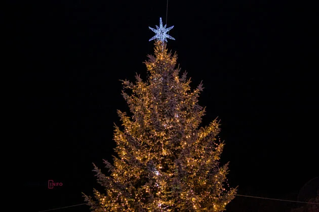 Во Львове открыли главную елку, и вот как выглядит новогодняя красавица - фото 462169