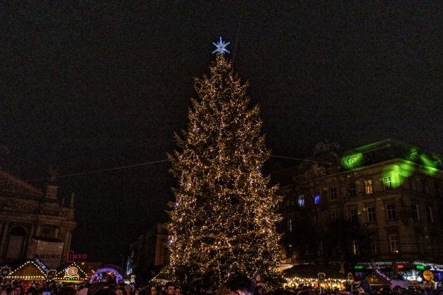 Во Львове открыли главную елку, и вот как выглядит новогодняя красавица - 462171 Во Львове открыли главную елку, и вот как выглядит новогодняя красавица - фото 462171
