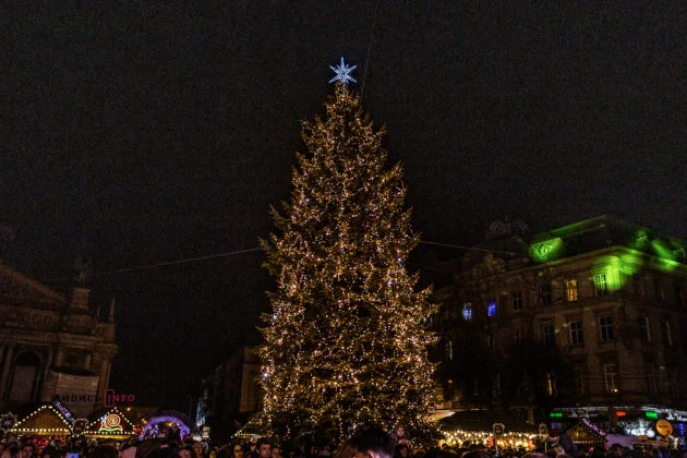 Во Львове открыли главную елку, и вот как выглядит новогодняя красавица - фото 462171