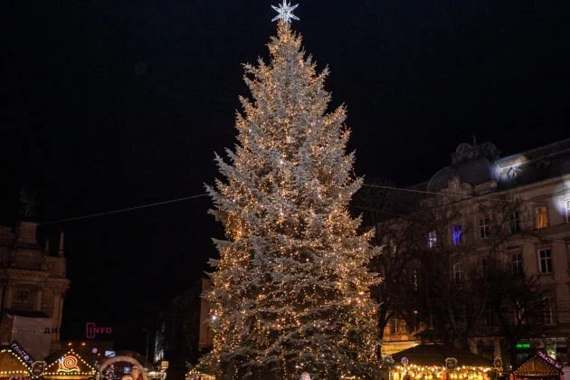 Во Львове открыли главную елку, и вот как выглядит новогодняя красавица - фото 462172