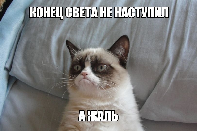 Юзеры определили лучшие мемы десятилетия - фото 462343