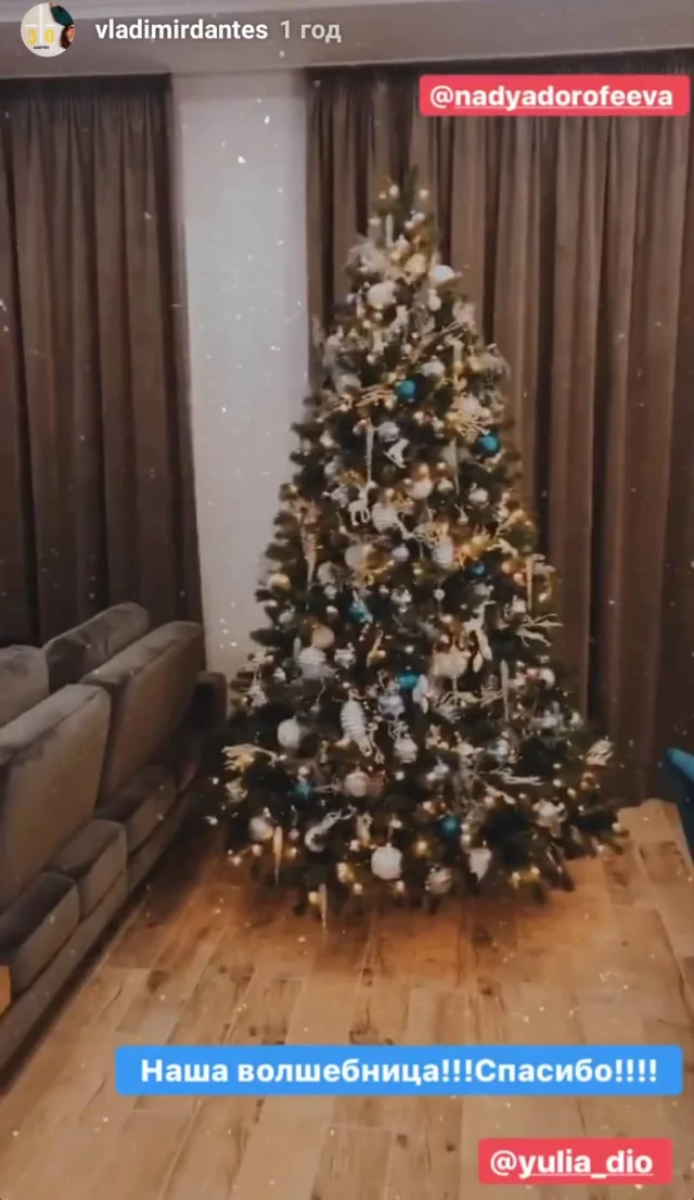 Как украинские звезды украсили елки к Новому году 2020 - фото 462858