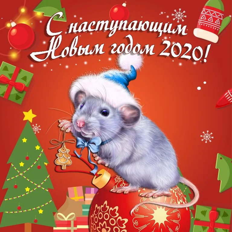 Картинки с Новым годом 2020 – красивые новогодние открытки для поздравлений - фото 463426