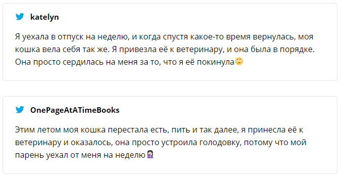Девушка выяснила, почему ее котик грустит – причина рассмешила весь интернет - фото 463724