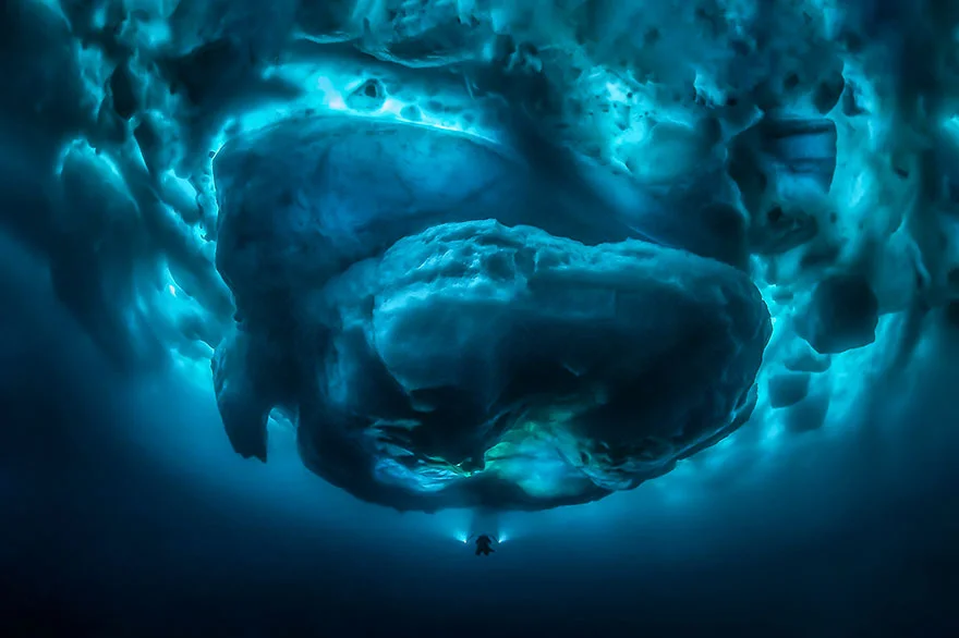 Другой мир: потрясающие фото победителей конкурса подводной съемки - фото 464430