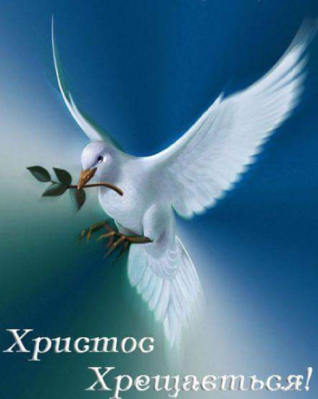 Листівки зі святом Йордана - 464483 Листівки зі святом Йордана - фото 464483