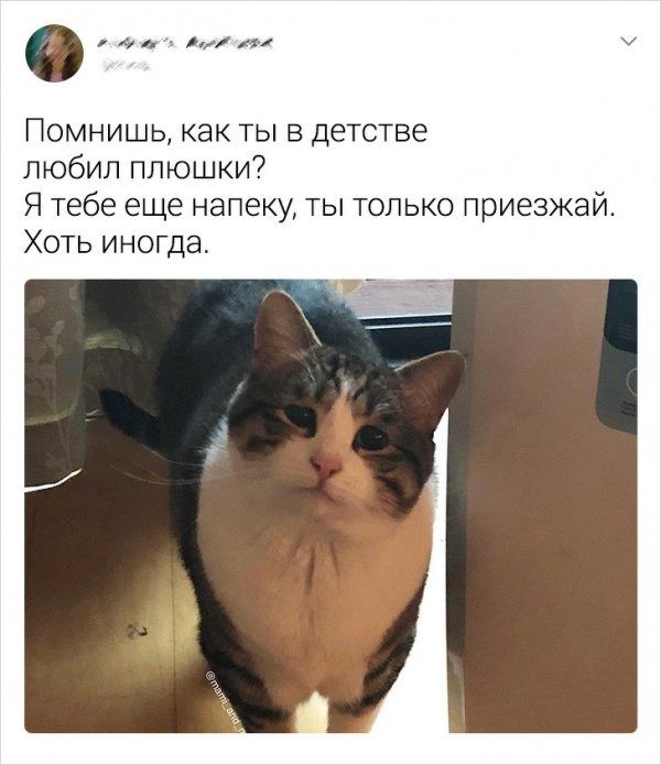 Мемы с прошлого года, которые будут смешить и в 2020-ом - 464712 Мемы с прошлого года, которые будут смешить и в 2020-ом - фото 464712